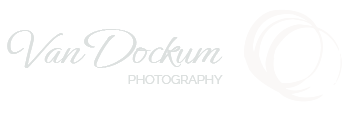 light logo